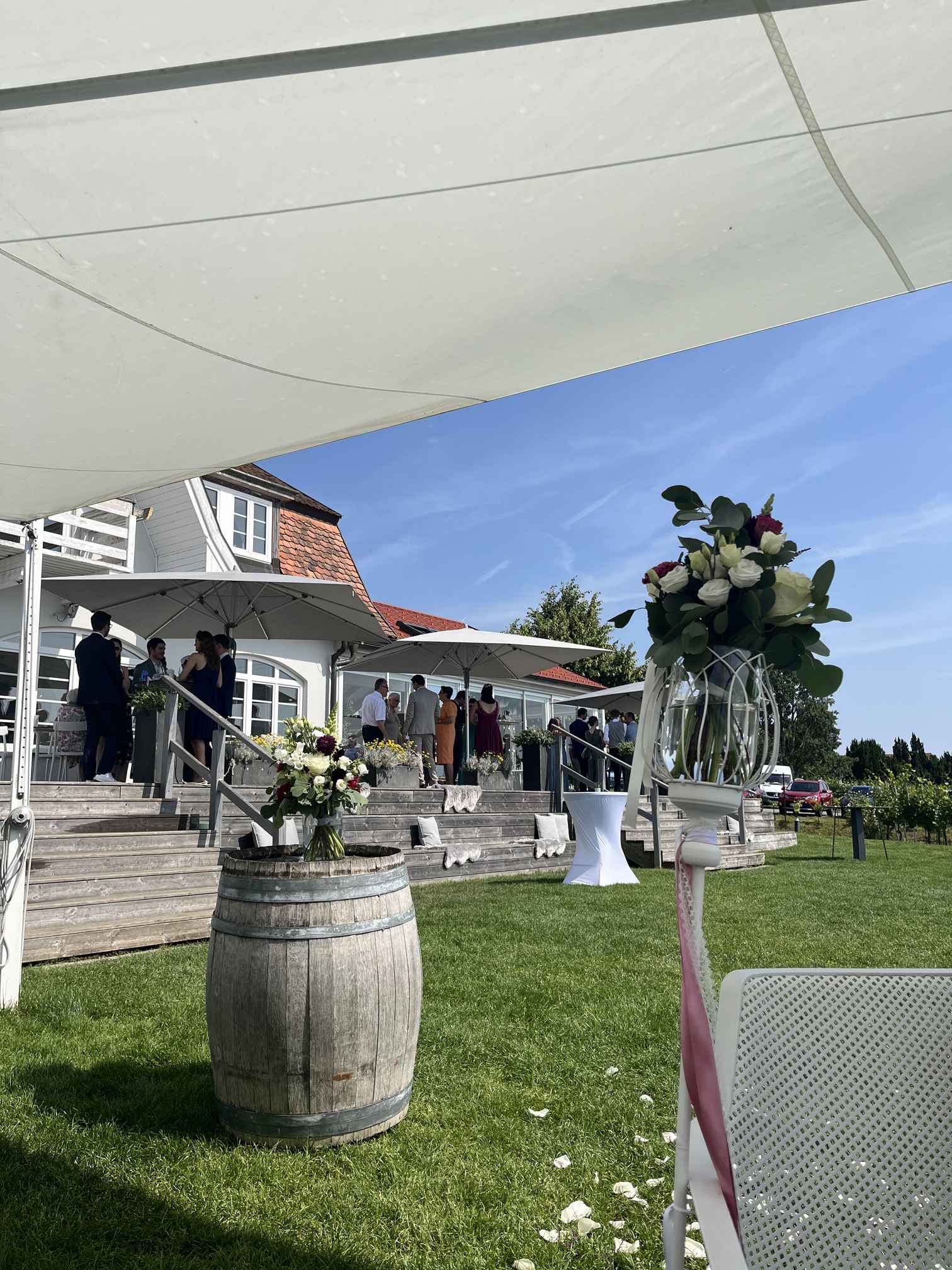 Milica_2025-06-15T18-53-05.773Z_9eda437d-d9a2-4b66-848d-fe8b82fd8422